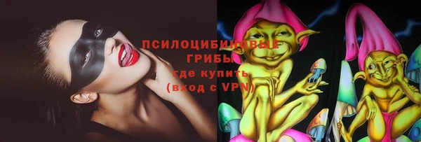 ГАЛЛЮЦИНОГЕННЫЕ ГРИБЫ Баксан