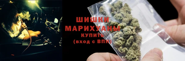 ГАЛЛЮЦИНОГЕННЫЕ ГРИБЫ Баксан