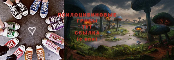 ГАЛЛЮЦИНОГЕННЫЕ ГРИБЫ Баксан