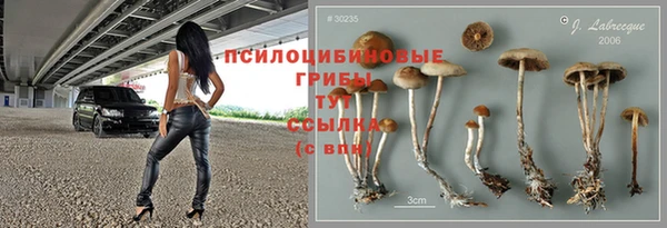 spice Балабаново