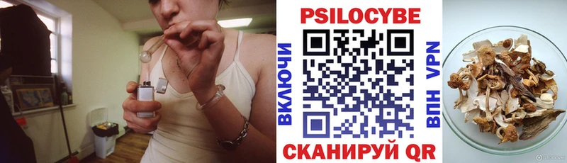 Псилоцибиновые грибы Cubensis  ОМГ ОМГ   Ульяновск 